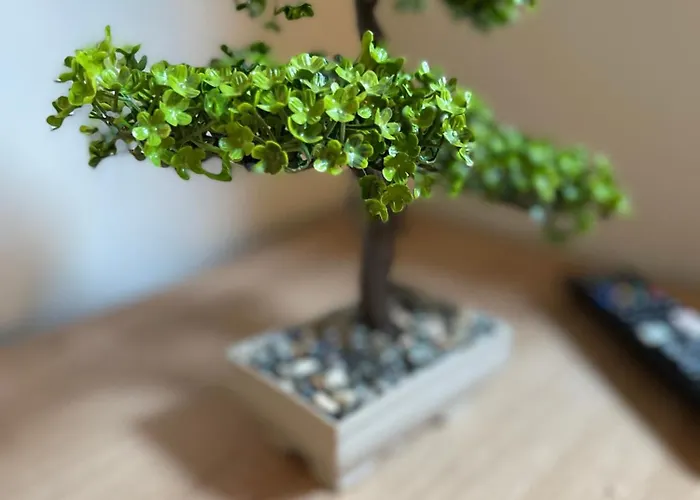 Fantasia Апарт-отель 3*